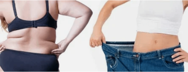 Prinsip -prinsip menu diet dicintai