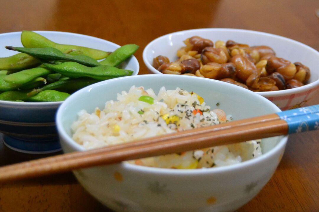 Diet Jepang