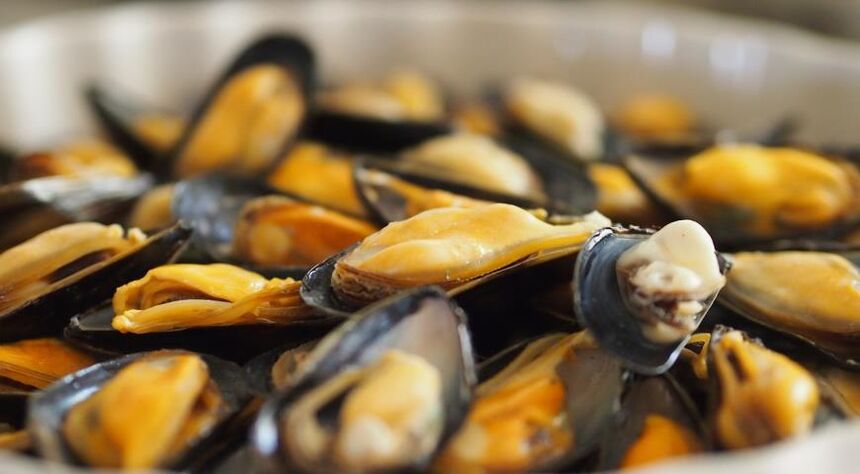kerang pada diet protein