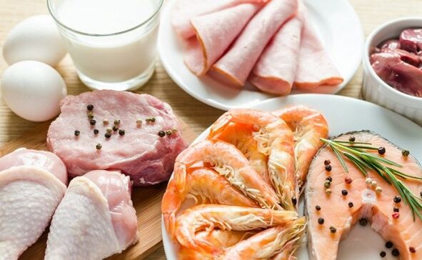 Diet protein dasar
